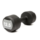 PVOLVE Studio Dumbbells & Rack