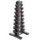 Cybex Ion Series Vertical Dumbbell Rack